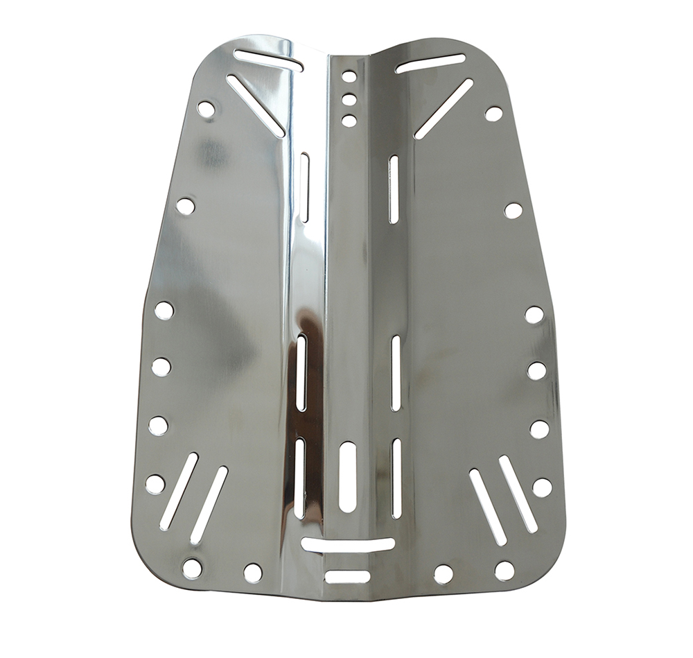 BP-01 SS BACKPLATE